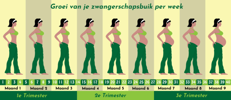 6 weken zwanger | Ontdek je symptomen en to do's