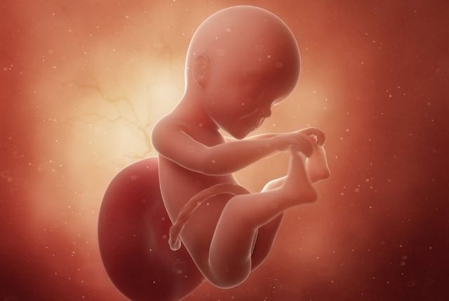 25 weken zwanger baby op komst