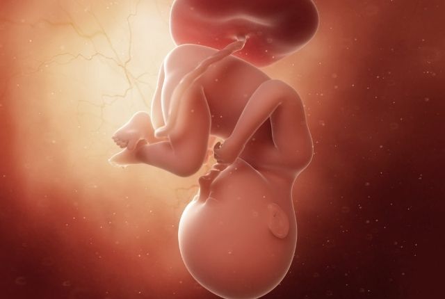35 weken zwanger baby op komst